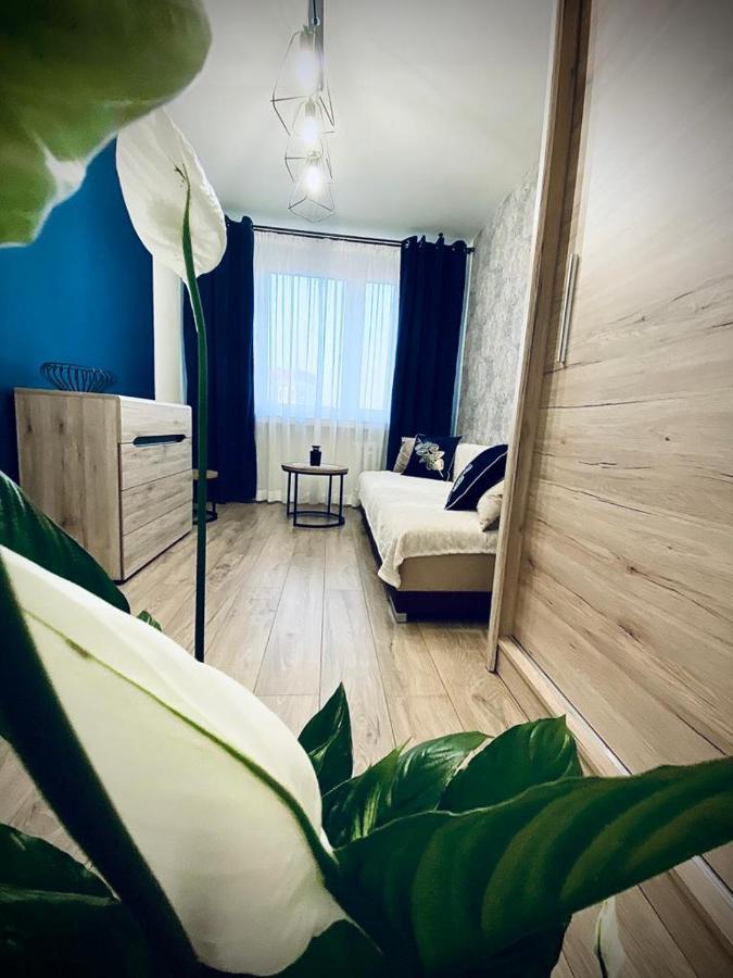 Krola Apartment